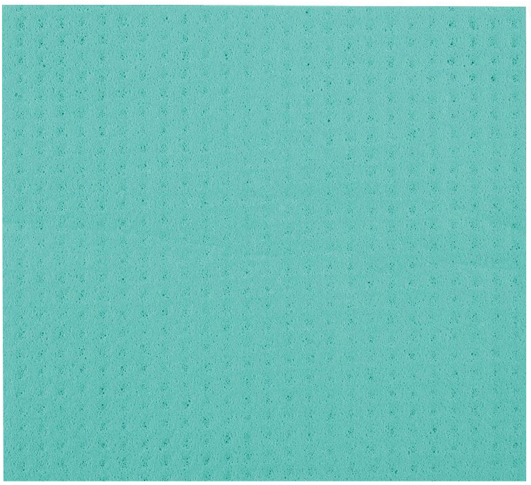 HYGOCLEAN Schwammtuch, 200 x 180 mm, grün, 10er Pack von hygoclean