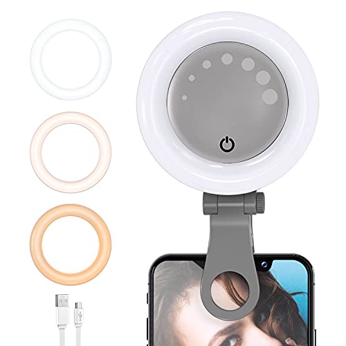 iRhodesy Laptop Videokonferenz Licht, LED Ringleuchte Dimmbare Webcam Beleuchtung mit Clip für Selfie, Ringleuchte für Zoom Meeting, Tiktok, Makeup, Live Stream, YouTube, Fotografie (Grau) F-508 von iRhodesy