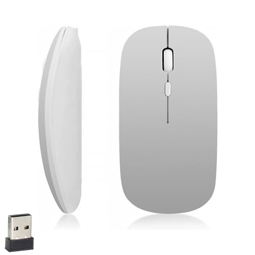 iSTYLE Kabellose Maus, ultradünn, geräuschlos, 2.4 G, schnurlos, 1600 DPI mit USB-Empfänger, optische Mäuse, für Laptop, PC, Computer, Mac, iPad, Linux (AA-Batterie erforderlich), silberfarben von iSTYLE