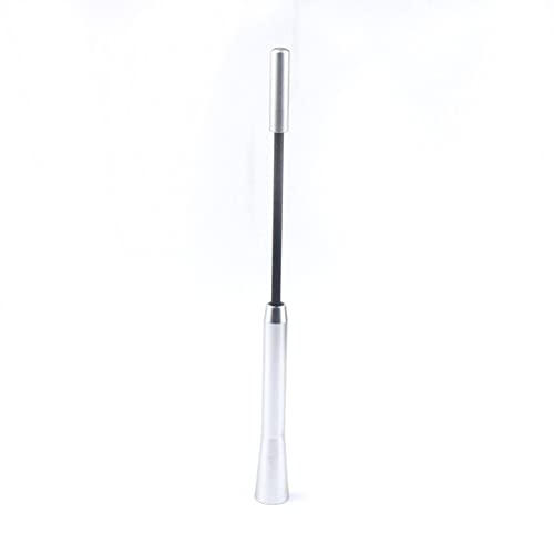 iSpchen Autoantenne FM/AM Autoradio Antenne Auto Dachantenne Kfz Antenne Kurz Aluminiumlegierung Universal 17cm Dach Radio Stabantenne guter Empfang Antennenhalterung mit M5 M6 Schrauben von iSpchen