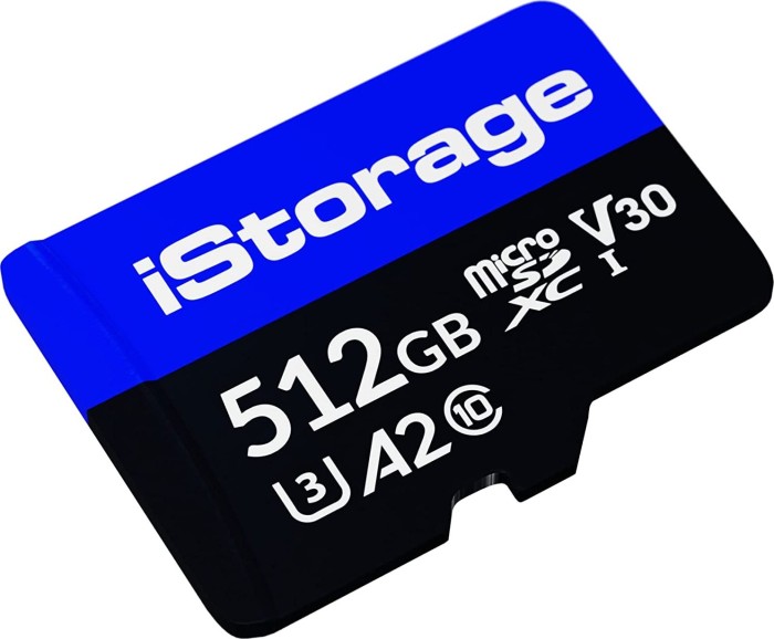 iStorage - Flash-Speicherkarte - 512 GB - A2 / Video Class V30 / UHS-I U3 / Class10 - microSDXC von iStorage