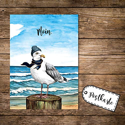 ilka parey wandtattoo-welt A6 Postkarte Print Vogel Möwe mit Mütze Schal am Meer Spruch Moin Karte Grußkarte pk252 - ausgewählte Größe: *5 Stück (desselben Motives)* von ilka parey wandtattoo-welt