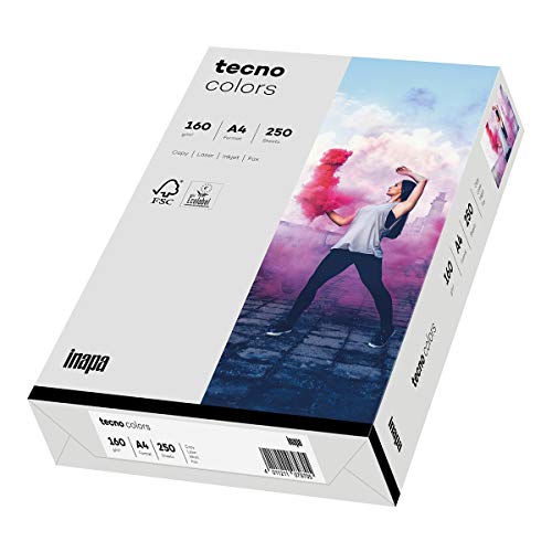 inapa farbiges Druckerpapier, buntes Papier tecno Colors: 160 g/m², A4, 250 Blatt, hellgrau von inapa