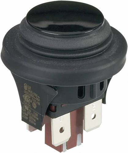 InterBär 3656-001.22 3656-001.22 Drucktaster 250 V/AC 16A 2 x Aus/(Ein) tastend IP65 1St. von interBär