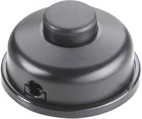InterBär Tretschalter Schwarz 1 x Aus/Ein 6A 1St. von interBär