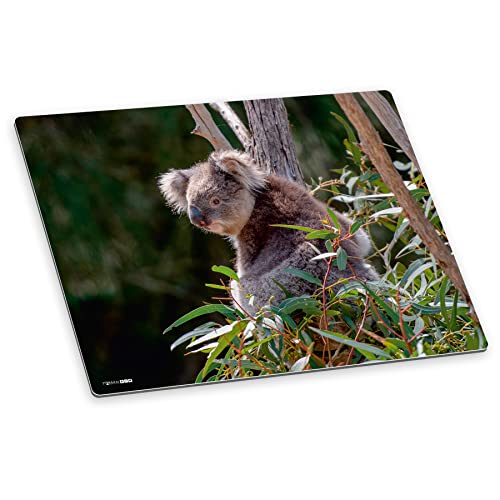 itenga Schreibtischunterlage Koala abwischbar rutschfest glatt Kunststoff von itenga