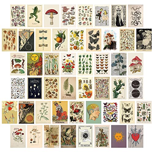jiuzcare Postkarten Set 50 Stück Motivationskarten Landschaften Leben Momente mit Sprüchen mit Lebensweisheiten Postkarten Set Vintage Gefühlskarten für Büro mit Kasten & 120 Doppelseitige, M9010 jiuzcare Postkarten Set 50 Stück Motivationskarten Landschaften Leben Momente mit Sprüchen mit Lebensweisheiten Postkarten Set Vintage Gefühlskarten für Büro mit Kasten & 120 Doppelseitige, M9010 von jiuzcare