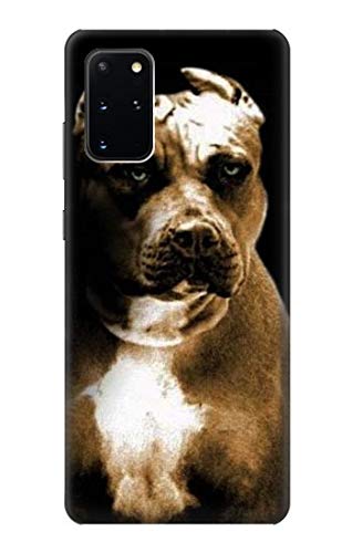 Pitbull Hülle Schutzhülle Taschen für Samsung Galaxy S20 Plus, Galaxy S20+ von jjphonecase