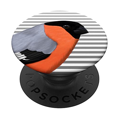 Gimpel Vogel Singvogel Vogelfreund Ornithologe Gartenvogel PopSockets mit austauschbarem PopGrip von jz.birds