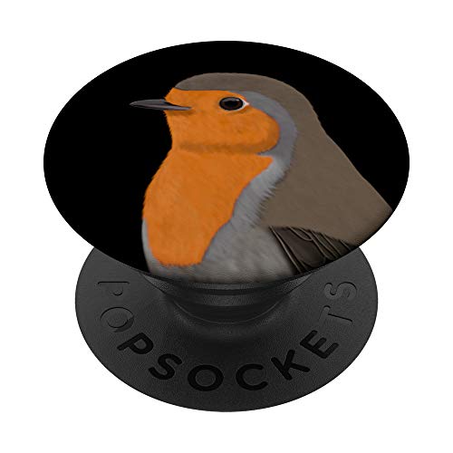 Rotkehlchen Vogel Zeichnung Biologe Ornithologe Tierfreund PopSockets PopGrip: Ausziehbarer Sockel und Griff für Handys/Tablets mit Tauschbarem Top von jz.birds