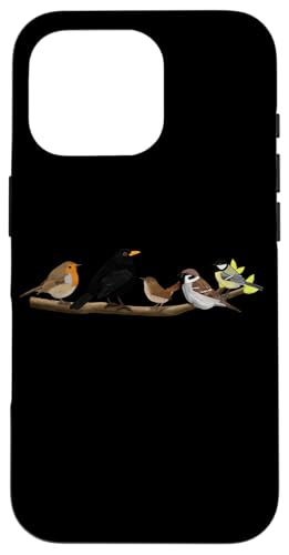 Vögel auf einem Ast Rotkehlchen Amsel Kohlmeise Singvogel Hülle für iPhone 16 Pro Vögel auf einem Ast Rotkehlchen Amsel Kohlmeise Singvogel Hülle für iPhone 16 Pro von jz.birds