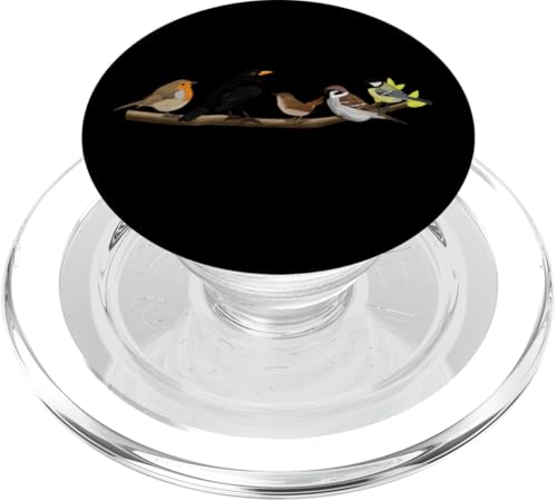 Vögel auf einem Ast Rotkehlchen Amsel Kohlmeise Singvogel PopSockets PopGrip für MagSafe Vögel auf einem Ast Rotkehlchen Amsel Kohlmeise Singvogel PopSockets PopGrip für MagSafe von jz.birds