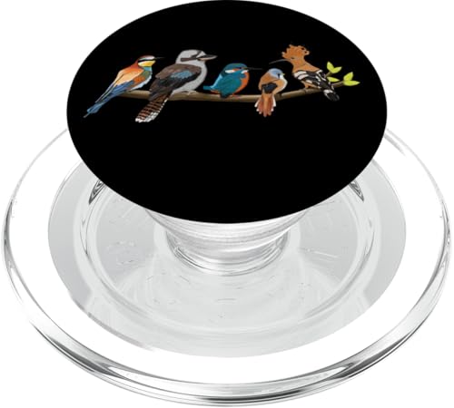 Vögel auf einem Ast Wiedehopf Kookaburra Eisvogel Singvogel PopSockets PopGrip für MagSafe Vögel auf einem Ast Wiedehopf Kookaburra Eisvogel Singvogel PopSockets PopGrip für MagSafe von jz.birds