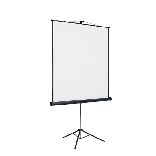 kaiserkraft | Stativ-Lichtbildwand | Bildwandformat 1 : 1 | Bildfläche BxH 1970 x 2030 mm von kaiserkraft