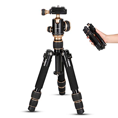 Koolehaoda Tragbares Mini-Stativ, höhenverstellbar, 20,3–50,8 cm, kompaktes Desktop-Makro-Mini-Stativ mit Tragetasche, Gewicht nur 0,68 kg Koolehaoda Tragbares Mini-Stativ, höhenverstellbar, 20,3–50,8 cm, kompaktes Desktop-Makro-Mini-Stativ mit Tragetasche, Gewicht nur 0,68 kg von koolehaoda