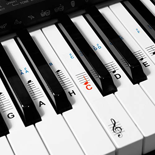 kwmobile Klavier Keyboard Noten Aufkleber - für 49 61 76 88 Tasten Instrumente - Transparente Vinyl Piano Sticker für weiße Tasten - mit Anleitung von kwmobile