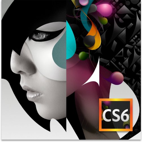 Adobe Design Standard CS6 arabisch Nahen Osten PC (nur DVD, keine Lizenz) von languagesource.com
