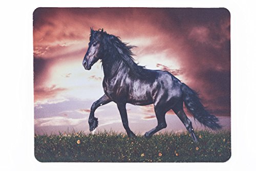 lillybox Praktisches Mousepad, mit schönem schwarzen Friesen, Pferd im Abendlicht. Für Reiter und Pferdefreunde! von lillybox