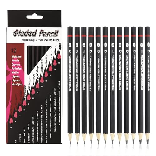 liuchanghe Bleistift Set, 12 Zeichenstifte Set, 2H-8B,Skizzienstifte, Professionelle Bleistift,Bleistift Zeichnen Sketch Set für Kinder Erwachsene Anfänger, Skizzieren Liebhaberin von liuchanghe