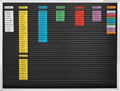 magnetoplan Streifensteckplaner | BxH 660x498 mm | Made in Germany | Planungskapazität: 38 Positionen untereinander | Organisationstafel zur Termin- und Personalplanung | Flexibel & robust von magnetoplan