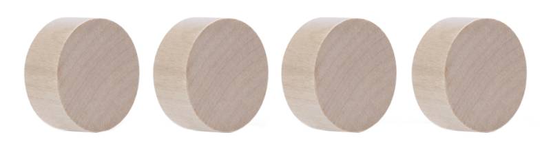 magnetoplan Neodym-Magnete Wood Series Circle, birke von magnetoplan