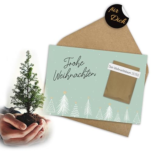 maxiPRINT1000 Weihnachtskarten mit Samen und Umschlag Set dein Weihnachtsbaum 2030 zum selber pflanzen nachhaltig Christmas Cards von maxiPRINT1000