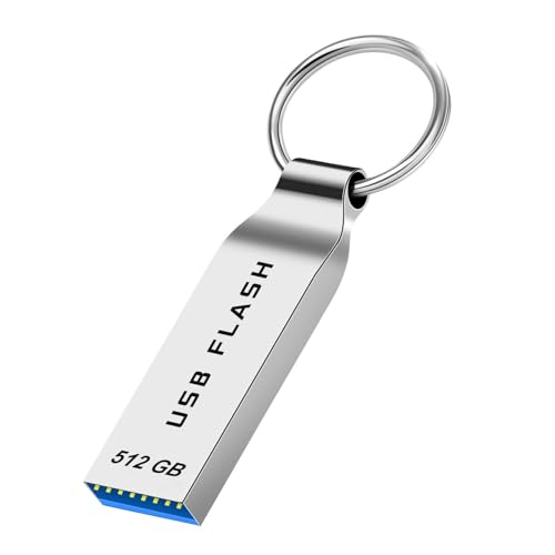 maxineer USB Stick 512GB USB-Stick Speicherstick mit Metallgehäuse & Schlüsselanhänger USB-Flash Laufwerk Kompatibel mit Laptop, PC | Silber maxineer USB Stick 512GB USB-Stick Speicherstick mit Metallgehäuse & Schlüsselanhänger USB-Flash Laufwerk Kompatibel mit Laptop, PC | Silber von maxineer