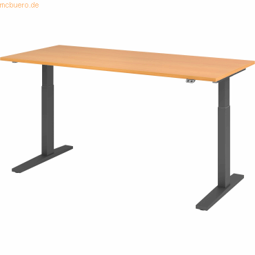 mcbuero.de Sitz-Steh-Schreibtisch elektrisch 180x80cm Buche/Graphit von mcbuero.de