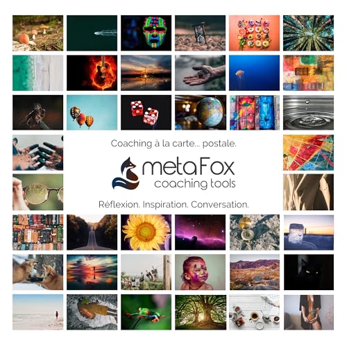 metaFox Coffret Original de cartes postales de motivation un jeu de 52 cartes postales pour le coaching et la thérapie von metaFox