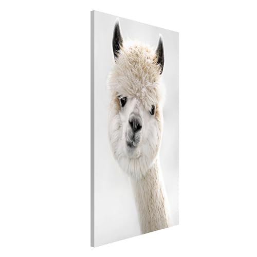 Magnettafel Pinnwand für Magnete Kinderzimmer Magnetboard - Magnetwand Made in Germany - Kunstkopie Modern Notiztafel weiss Mädchen Jungen Visionboard WBMT_5334 (30x40cm) von micasia