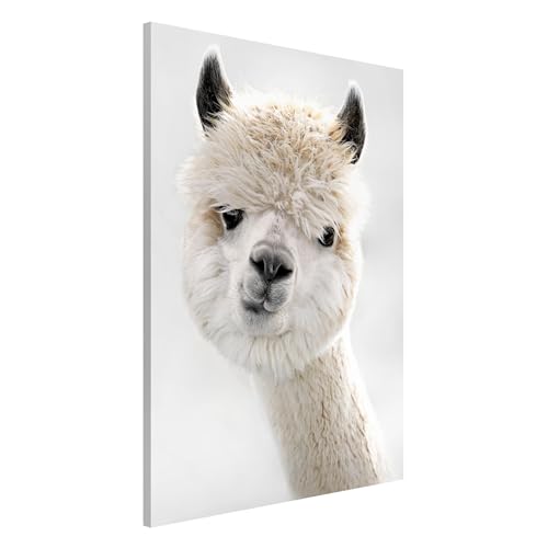 Magnettafel Pinnwand für Magnete Kinderzimmer Magnetboard - Magnetwand Made in Germany - Kunstkopie Modern Notiztafel weiss Mädchen Jungen Visionboard WBMT_6323 (60x90cm) von micasia
