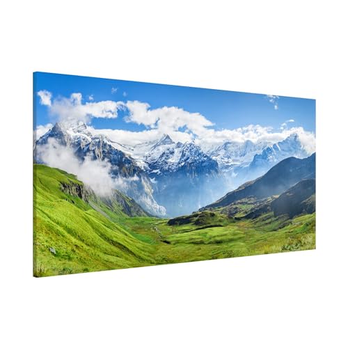 Magnettafel Pinnwand für Magnete Natur Magnetboard - Magnetwand Made in Germany - Schweiz Modern Notiztafel grün Küche Flur Büro Visionboard WBMT_6141 (78x37cm) von micasia