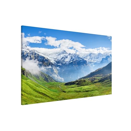 Magnettafel Pinnwand für Magnete Natur Magnetboard - Magnetwand Made in Germany - Schweiz Modern Notiztafel grün Küche Flur Büro Visionboard WBMT_6810 (60x40cm) von micasia