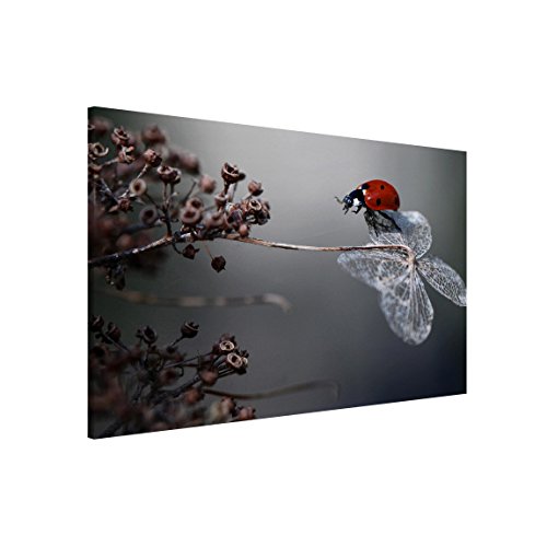 Magnettafel Pinnwand für Magnete Tiere Magnetboard - Magnetwand Made in Germany - Kunstkopie Modern Notiztafel rot Küche Flur Büro Visionboard WBMT_1411 (60x40cm) von micasia
