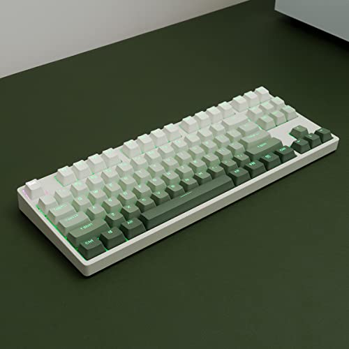 mintcaps PBT Doubleshot Keycaps Gradient Green Backlit OEM Profile Keycaps Full Set 123 Tasten Custom Keyboard Keycaps für Cherry Gateron MX Switches Mechanische Tastatur von mintcaps