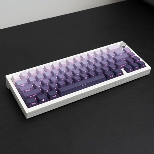 mintcaps PBT Doubleshot Purple Keycaps Gradient Backlit Side Print OEM Profile Keycaps Shine Through Custom Keyboard Keycaps Set 105 Tasten für Cherry Gateron MX Switches Mechanische Tastatur von mintcaps