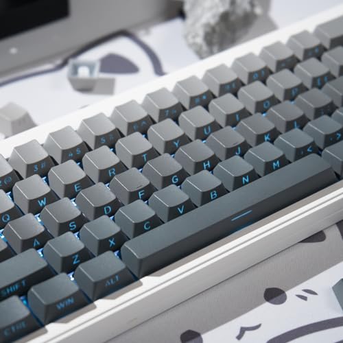 PBT Doubleshot Tastenkappen 134 Tasten Gradient Gray Backlit OEM Profil Tastenkappen Full Set Custom Keyboard Tastenkappen für Cherry Gateron MX Schalter Mechanische Tastatur von mintcaps