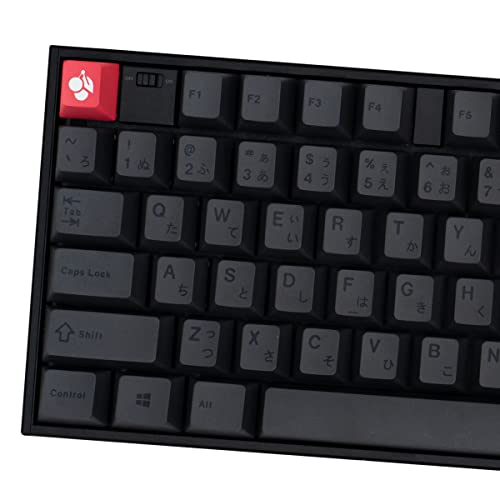 PBT Gray Japanische Tastenkappen Cherry Profile Retro Dye-Sub Tastenkappen Set 130 Tasten Custom Keyboard Tastenkappen für Cherry Gateron MX Switches Mechanische Tastaturen von mintcaps