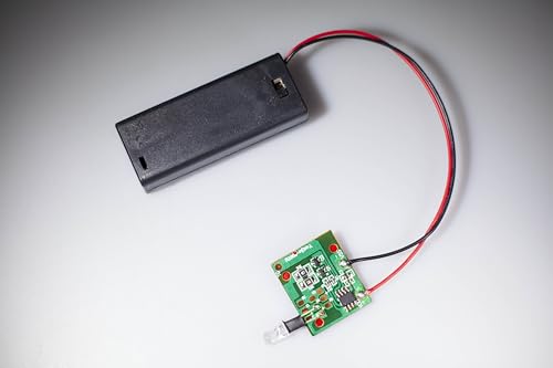 Top-Tier Auto-Sicherheits-Blink-LED, 1 Jahr Batterielebensdauer, vorverdrahtete Halterung, fortschrittliche automatische Diebstahlabschreckung mit langsamem Blinken, AAA-Batterie-Verdeckung, von mlnyitus