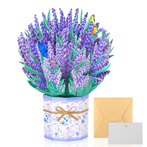 Modacraft 3D Pop Up Grußkarten Lavendel, Pop Up Karte Blumen mit Umschlag Nachrichtenkarten, Popup Karte für Geburtstag Valentinstag Graduierungszeremonie Hochzeiten Muttertag Jahrestag von modacraft