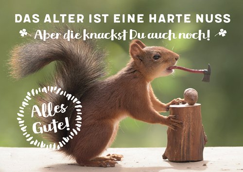 Postkarte A6 +++ LUSTIG von modern times +++ DAS ALTER IST EINE HARTE NUSS +++ ZWEITGEIST Foto: Adobe Stock/geertweggen von modern times