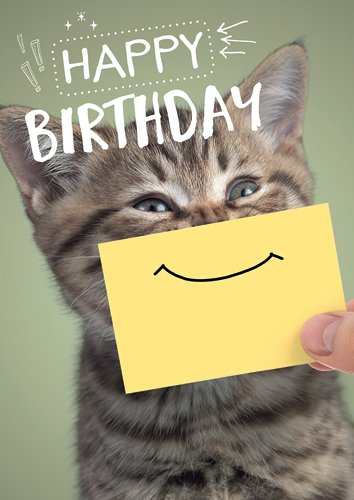 Postkarte A6 +++ LUSTIG von modern times +++ HAPPY BIRTHDAY KATZE LÄCHELN +++ ZWEITGEIST Foto: Adobe Stock/Andrey Kuzmin von modern times