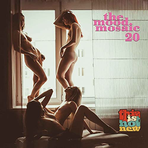 Mood Mosaic 20 / Various [Vinyl LP] von mood mosaic records