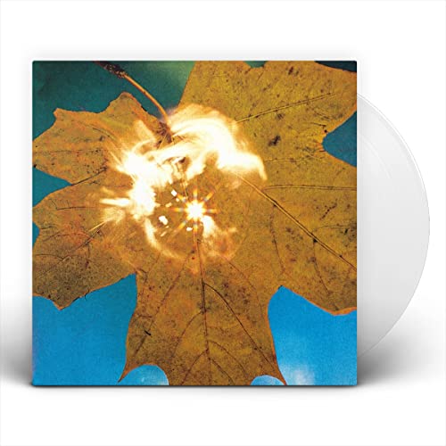 Force of the Wind [Vinyl LP] von mr bongo