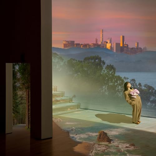 liminal space [Vinyl LP] von mxmtoon