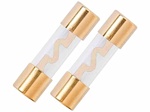 2 Stück AGU Sicherungen 40A Glasrohr Gold Überzogen Auto Power Schutz Linie Tube Audio Power von myshopX