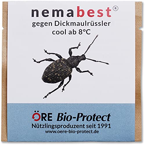 nemabest® cool HB+SF Nematoden zur Bekämpfung des Dickmaulrüsslers - 15 Mio. für 30m² von nemabest