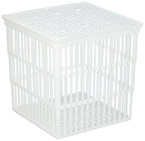 neoLab Polypropylen Korb mit Deckel, Weiß, 12l Kapazität, 229mm x 229mm x 229mm neoLab Polypropylen Korb mit Deckel, Weiß, 12l Kapazität, 229mm x 229mm x 229mm von neoLab