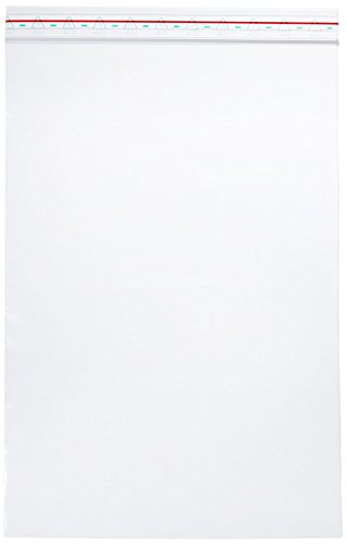 neoLab LDPE Beutel, Transparent, 220mm x 150mm, 100 Stück von neoLab