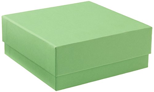 neoLab 2-2674 Kryo-Aufbewahrungsbox economy, 133 mm x 133 mm x 50 mm, Grün von neoLab